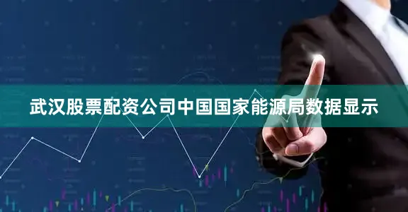 武汉股票配资公司中国国家能源局数据显示